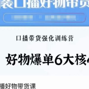 口播好物带货系统课程 掌握6大爆单核心 口播带货强化训练营-雨叶虚拟资源网