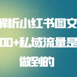 小红书图文引流玩法全解析 日引100+精准私域流量实操攻略-雨叶虚拟资源网