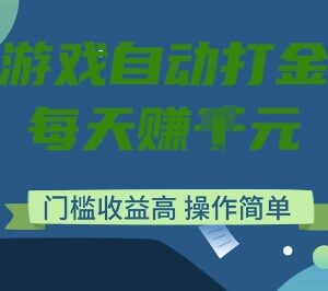 运营20年稳定网游 低门槛欧服美服全自动打金搬砖项目详解-雨叶虚拟资源网