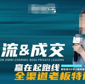 2024引流与成交全渠道教程 55节老板特训营系统教学录播课-雨叶虚拟资源网