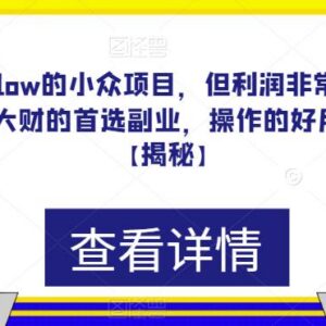 小众低门槛高利润副业项目详解 操作简单做好可月入过万-雨叶虚拟资源网