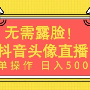 无需露脸的AI头像直播项目玩法 低门槛操作可实现稳定收益-雨叶虚拟资源网