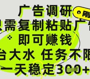 广告调研类零撸副业玩法揭秘 复制粘贴即可做任务赚收益-雨叶虚拟资源网