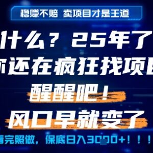 2025年普通人创业方向解析 做知识付费卖项目比实操项目更赚钱-雨叶虚拟资源网
