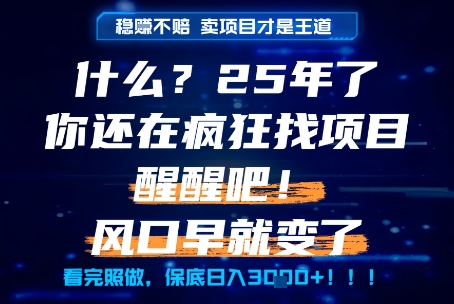 2025年普通人创业方向解析 做知识付费卖项目比实操项目更赚钱