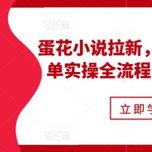 蛋花小说拉新实操全流程 故事混剪小说推文爆单玩法详解-雨叶虚拟资源网