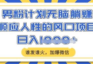 男粉类短视频低门槛副业玩法揭秘 合法合规易操作可实现日入500+-雨叶虚拟资源网
