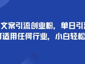 手掌文案引流创业粉实操方法 小白易上手单日可引流100+-雨叶虚拟资源网