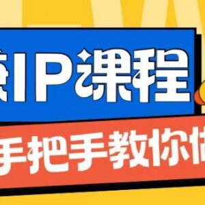 IP合伙人打造1.0实操课程 0基础学网创从0到1实现月入过万-雨叶虚拟资源网