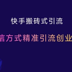 2024快手搬砖式引流攻略 最新私信玩法精准引流创业粉300+-雨叶虚拟资源网
