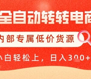 AI全自动转转电商运营教程 附低价货源及自动铺货玩法解析-雨叶虚拟资源网