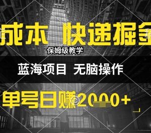 0成本快递掘金玩法实操 小白易上手高收益副业完整教程-雨叶虚拟资源网