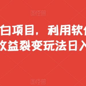抖音小白无货源搬运项目 私域转化裂变日入500+玩法详解-雨叶虚拟资源网