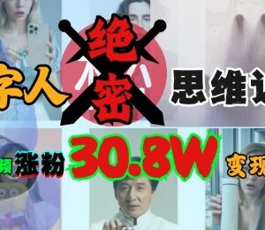 AI数字人运营实操教程 抖音涨粉变现玩法全解析-雨叶虚拟资源网