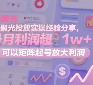 小红书聚光投放实操经验分享 单号月利润超1万可矩阵放大收益-雨叶虚拟资源网