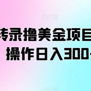 翻译转录类海外美金项目实操教程 新手操作可实现日入300+-雨叶虚拟资源网