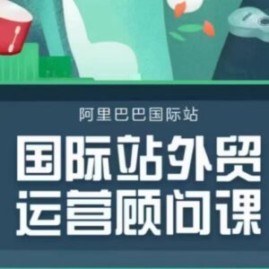 国际站运营顾问系列课程 全流程运营思路与实操逻辑教学-雨叶虚拟资源网