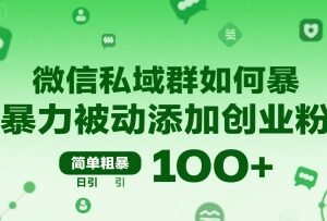 微信私域群被动添加创业粉实操教程 可实现日引100+精准创业粉-雨叶虚拟资源网