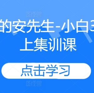 亲爱的安先生小白3天线上集训课 全套课程资源分享-雨叶虚拟资源网
