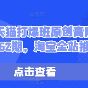2024淘宝天猫打爆班高阶教程 淘宝全站推广实操玩法全解析-雨叶虚拟资源网