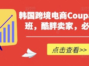 2025韩国Coupang跨境电商高阶教程 酷胖卖家实操提升课程-雨叶虚拟资源网