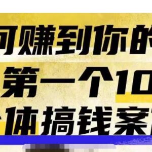 群响新个体搞钱案例库 赚第一个100万可复用实操路径-雨叶虚拟资源网