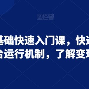 小红书零基础入门教程 掌握平台运行机制与变现逻辑全攻略-雨叶虚拟资源网
