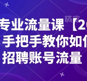2025新版BOSS专业流量课 手把手教你提升招聘账号流量权重-雨叶虚拟资源网