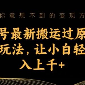 美女号搬运过原创方法与原创玩法 新手小白可落地的变现操作指南-雨叶虚拟资源网
