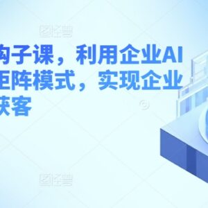 企业短视频钩子运营课 借助AI工具与矩阵模式实现批量获客-雨叶虚拟资源网
