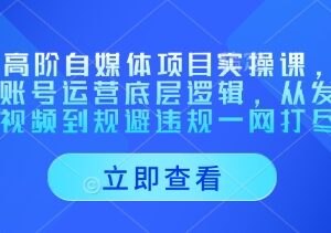 AI高阶自媒体实操课 账号运营内容制作违规规避全流程教学-雨叶虚拟资源网