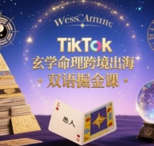 TikTok玄学命理跨境出海双语课 海外命理赛道变现实操教学-雨叶虚拟资源网