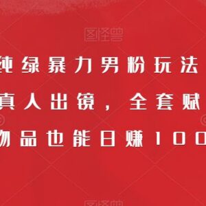 9月最新小红书纯绿男粉变现玩法 无需真人出镜可稳定日赚千元-雨叶虚拟资源网