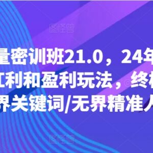 2024下半年无界流量盈利玩法 中小电商卖家流量破局密训课-雨叶虚拟资源网