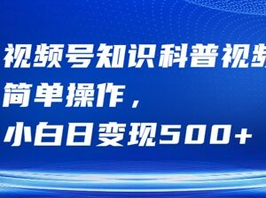 2024视频号知识科普项目玩法 小白低门槛上手可日入500+-雨叶虚拟资源网