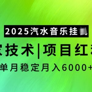 2025汽水音乐推广赚钱项目解析 新手可操作的稳定收益玩法揭秘-雨叶虚拟资源网