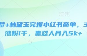 即梦+林黛玉人设做小红书商单 3天涨粉千余月入5k实操教程-雨叶虚拟资源网