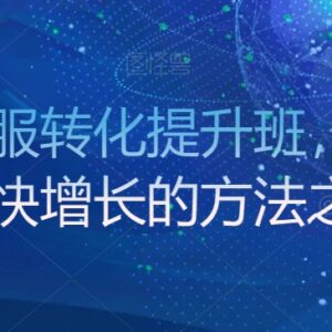 金牌客服转化提升班学习 打造高转化团队提升店铺经营利润率-雨叶虚拟资源网
