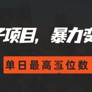 2024搭子经济低门槛变现玩法 私域社群运营单日营收破千指南-雨叶虚拟资源网