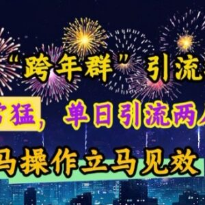 2024跨年群引流实操教程 抖音小红书单日引流满群操作方法-雨叶虚拟资源网