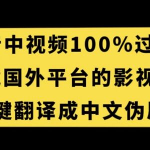抖音中视频过原创实操技巧 搬运海外影视解说翻译变现教程-雨叶虚拟资源网
