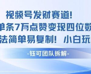 视频号高变现热门赛道玩法 单条7W赞变现四位数小白易复制-雨叶虚拟资源网