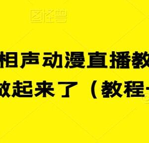 快手相声动漫直播怎么做 完整实操教程及配套素材分享-雨叶虚拟资源网