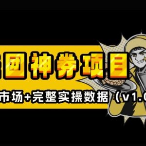 美团神券神会员入门教程 外卖券膨胀推广蓝海项目实操指南-雨叶虚拟资源网