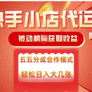 快手小店代运营合作玩法揭秘 零门槛无需操作收益五五分成-雨叶虚拟资源网