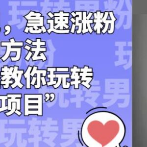 男粉项目全流程运营指南 二创涨粉及主流变现方法详解-雨叶虚拟资源网