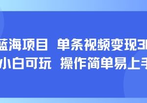 8月AI蓝海新赛道项目玩法 零基础小白易上手单条视频变现超千元-雨叶虚拟资源网