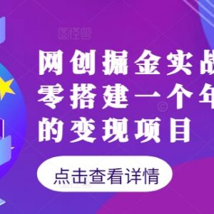网创掘金实战营实操教程 从零搭建年入百万变现项目指南-雨叶虚拟资源网