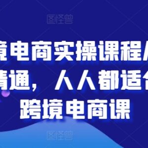 跨境电商零基础实操全阶课程 从入门到精通系统学习教程-雨叶虚拟资源网