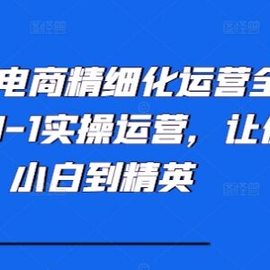 小红书电商从0到1精细化运营全流程 小白实操入门指南-雨叶虚拟资源网